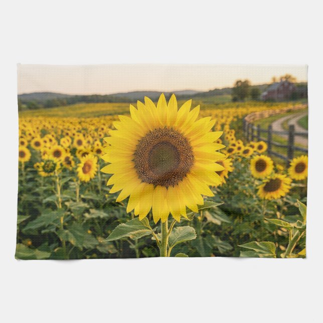Paño De Cocina Campo de girasoles (Horizontal)