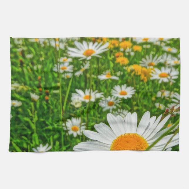 Paño De Cocina campo de la margarita en primavera (Horizontal)