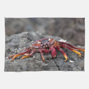 Paño De Cocina Cangrejo de roca roja