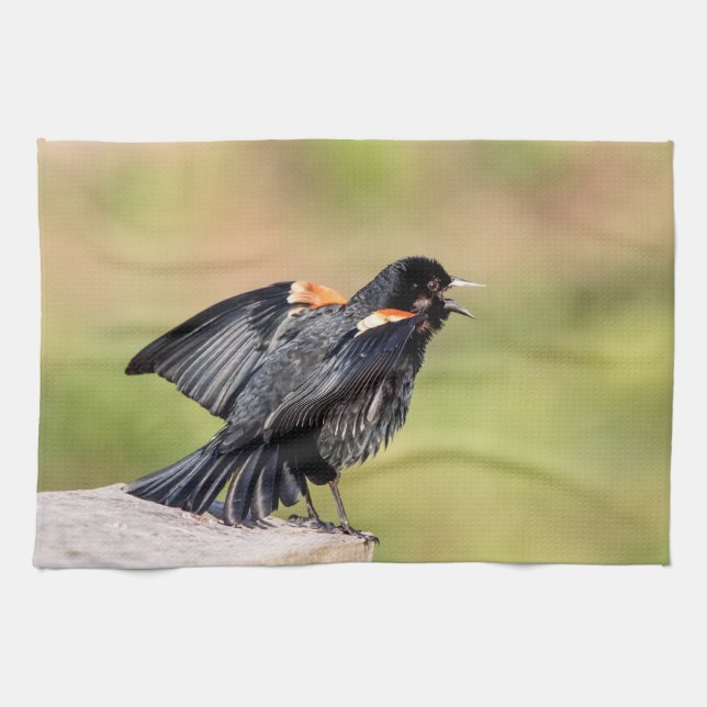 Paño De Cocina Canto de pájaro negro alado rojo (Horizontal)