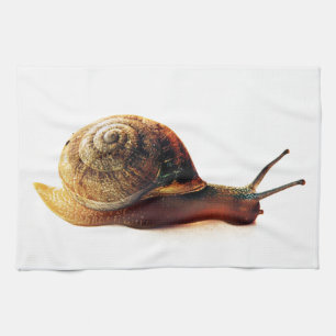 Paño De Cocina caracol