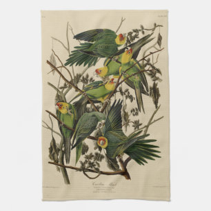 Paño De Cocina Carolina Parrot de Aves de América de Audubon