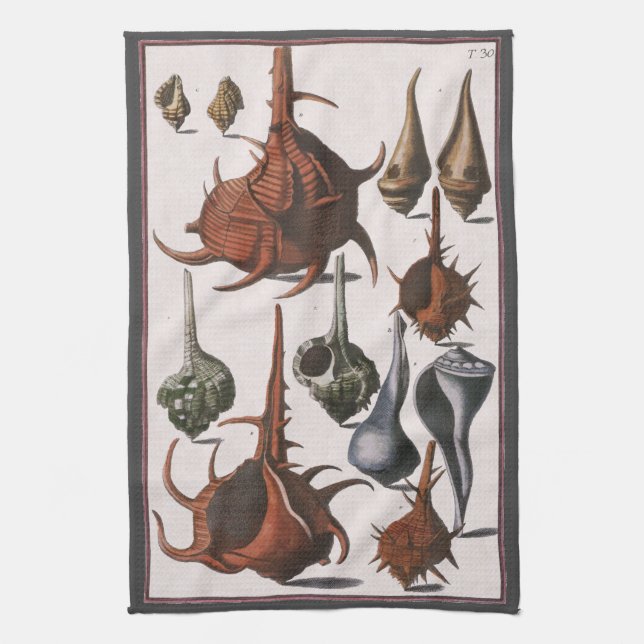 Paño De Cocina Cascos marinos de época, cáscaras oceánicas Vida m (Vertical)