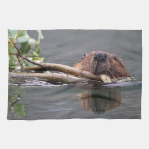 Paño De Cocina castor