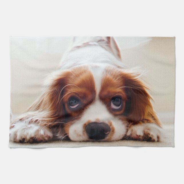 Paño De Cocina Cavalier King Charles Spaniel (Horizontal)