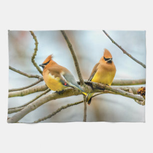Paño De Cocina Cedar Waxwing - Fotografía original