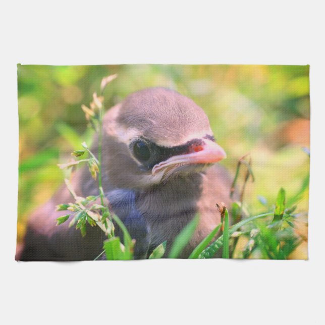 Paño De Cocina Cedro amarillo Waxwing Fledglglglgling Bird (Horizontal)