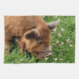 PAÑO DE COCINA CERDO CUTIDO