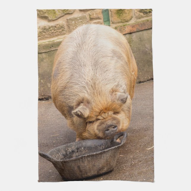 Paño De Cocina Cerdo gordo (Vertical)