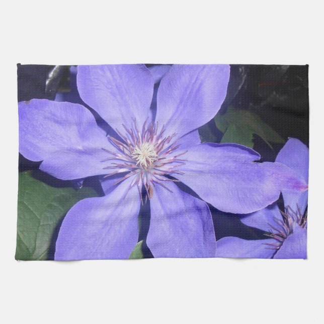 Paño De Cocina Césarina (Horizontal)