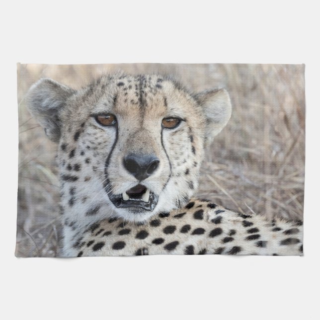 Paño De Cocina Cheetah Portrait (Horizontal)