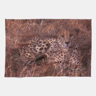 Paño De Cocina Cheetah Stare
