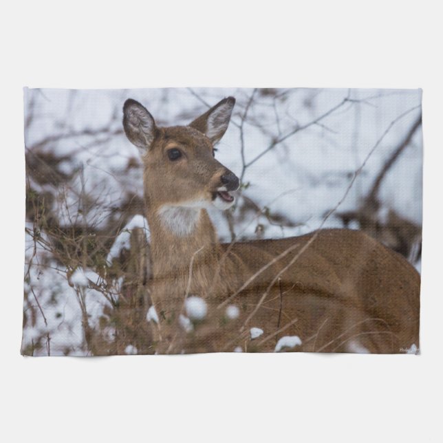 Paño De Cocina Chewy (Horizontal)