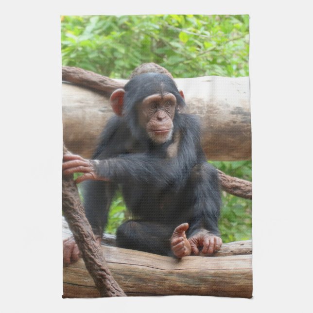 Paño De Cocina Chimpanzee 001 (Vertical)