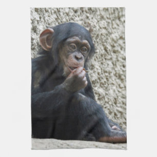 Paño De Cocina Chimpanzee 013