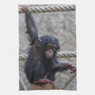 Paño De Cocina Chimpanzee 017
