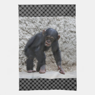 Paño De Cocina Chimpanzee 031