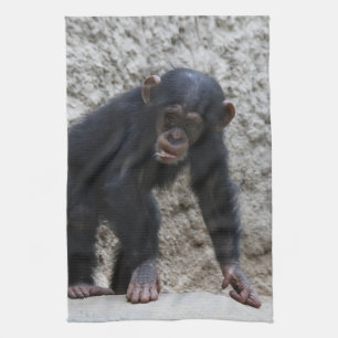 Paño De Cocina Chimpanzee 031
