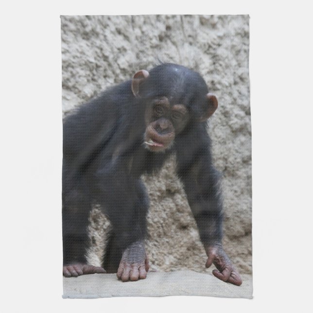 Paño De Cocina Chimpanzee 031 (Vertical)