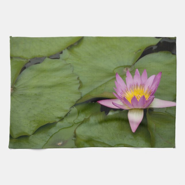 Paño De Cocina China, Hong Kong, Nuevos Territorios. Chi Lin (Horizontal)