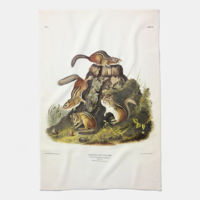 Paño De Cocina Chip Squirrel ( Eastern Chipmunk ) por Audubon (Vertical)