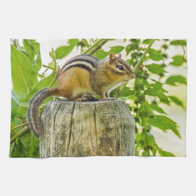 Paño De Cocina Chipmunk en un post sobre la cerca (Horizontal)