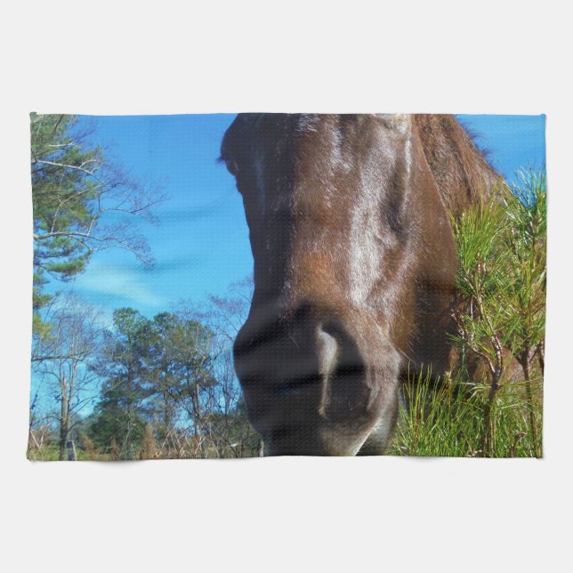 Paño De Cocina Cielo azul de caballo marrón y crema (Horizontal)