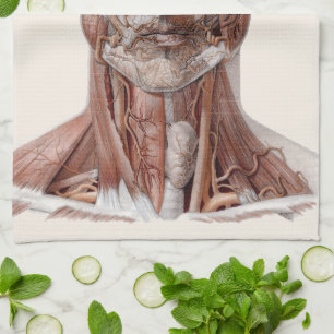 Paño De Cocina Ciencia de anatomía humana vintage, cabeza gargant