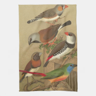 Paño De Cocina Cinco coloridas aves Mascotas colocadas en una suc
