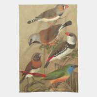 Cinco coloridas aves Mascotas encaramadas en una r