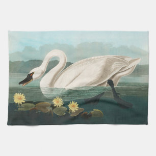 Paño De Cocina cisnes de agua blanca de cisne audubon