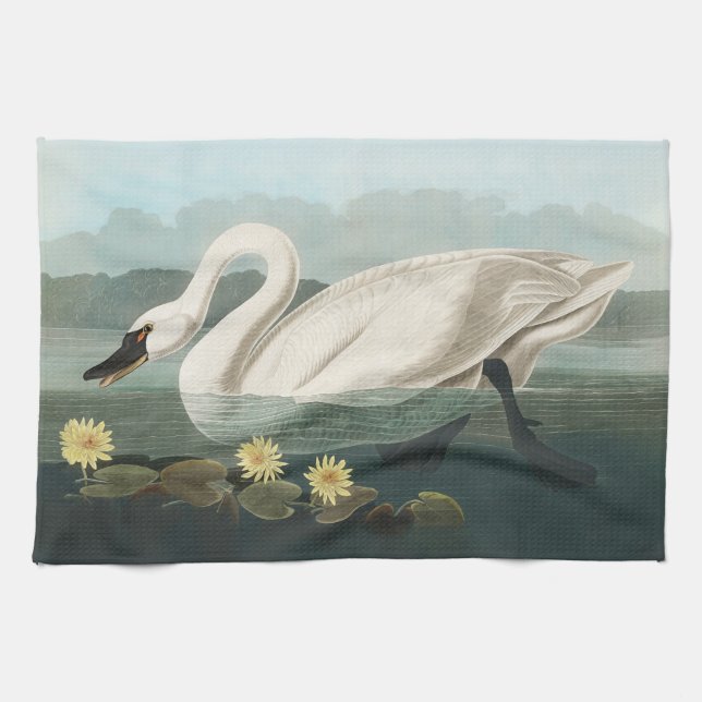 Paño De Cocina cisnes de agua blanca de cisne audubon (Horizontal)