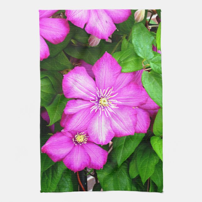 Paño De Cocina Clematis (Vertical)
