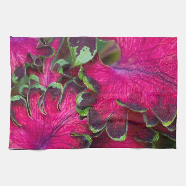 Paño De Cocina Coleus Macro (Horizontal)