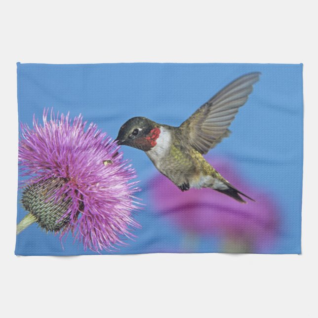 Paño De Cocina Colibrí de garganta rubí (Horizontal)