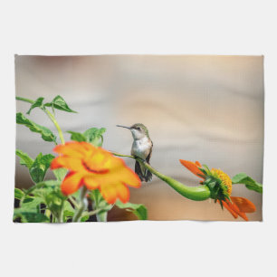 Paño De Cocina Colibrí en una planta floreciente