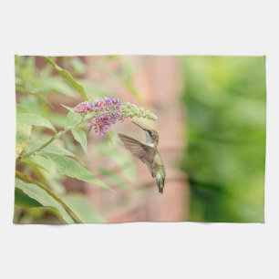 Paño De Cocina Colibrí en una planta floreciente