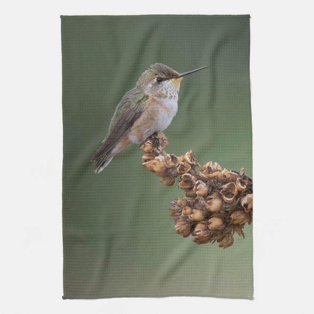 Paño De Cocina Colibrí Naranja pequeño (Vertical)