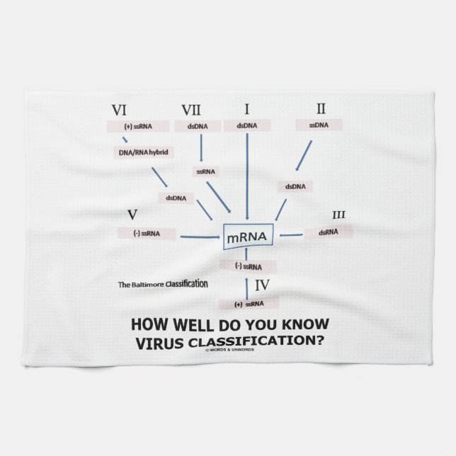 Paño De Cocina ¿Como de bien usted sabe la clasificación del (Horizontal)
