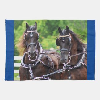 Paño De Cocina conducción del carro