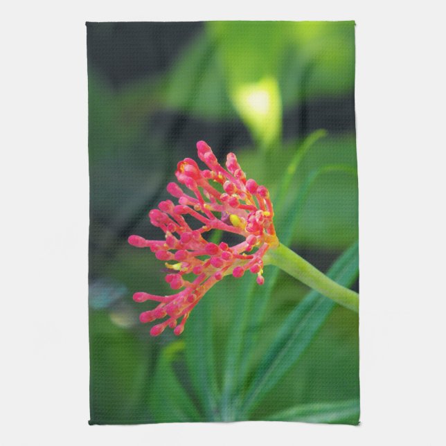 Paño De Cocina Coral Bush en flor (Vertical)