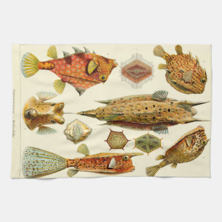 Paño De Cocina Cowfish del boxfish de Ernst Haeckel Ostraciontes