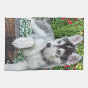 Paño De Cocina Crea tu propia foto personalizada de tu mascota