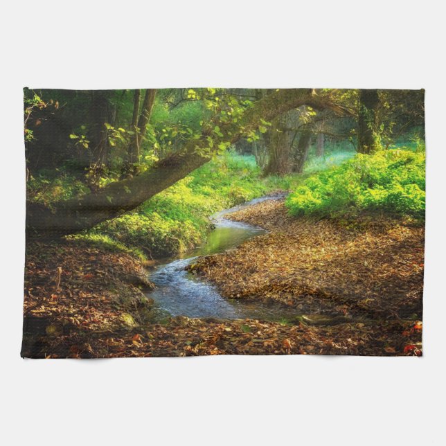 Paño De Cocina Creek forestal Hermoso paisaje natural Foto (Horizontal)