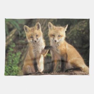 Paño De Cocina Cría de zorro rojo frente a la madriguera Vulpes v