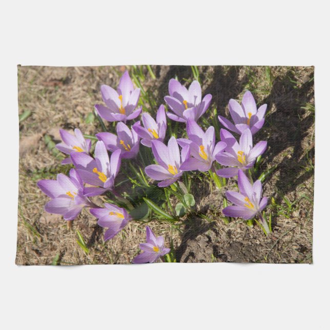 Paño De Cocina Cruces elásticos (Horizontal)