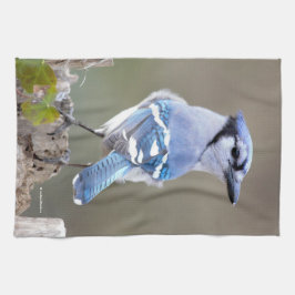 Paño De Cocina Cuadrillo de Jay azul en Treestump