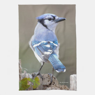 Paño De Cocina Cuadrillo de Jay azul en Treestump