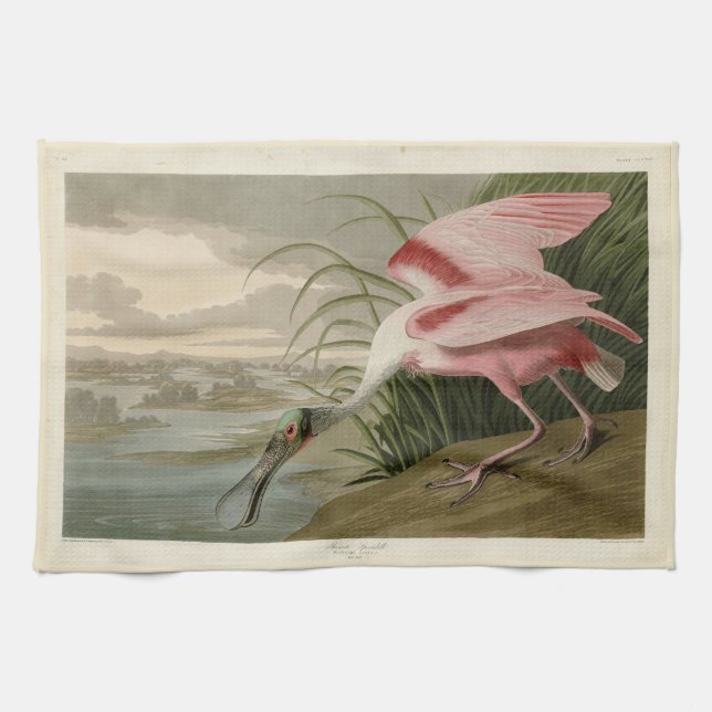Paño De Cocina Cucharada de rosas de los pájaros de América de Au (Horizontal)