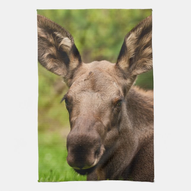 Paño De Cocina Curioso Moose (Vertical)